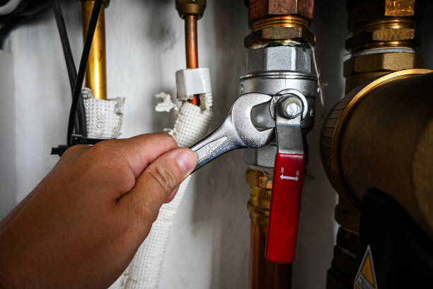 Best Plumbing Inspection Services  in Panama City Beach, FL